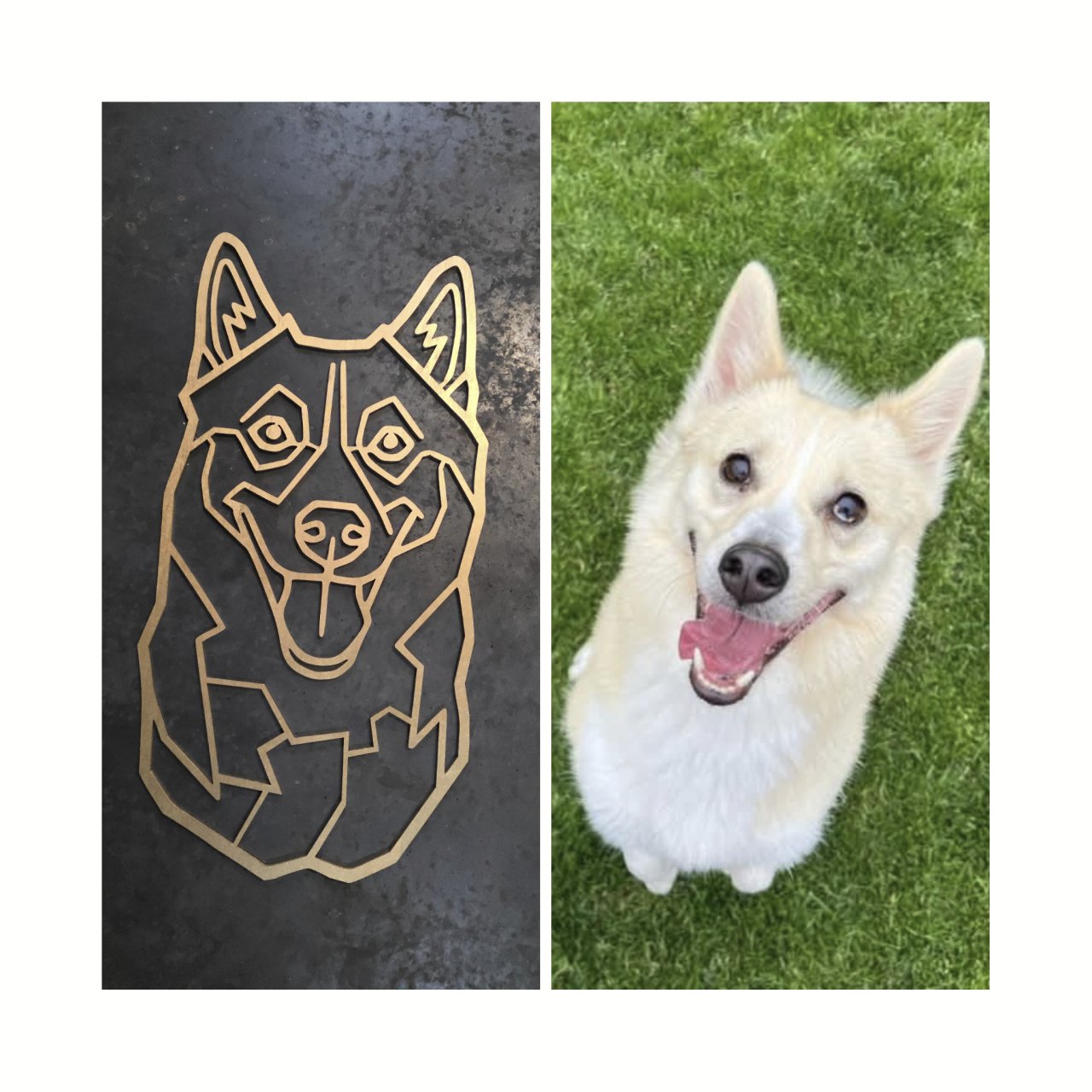 Wooden Pomsky silhouette commission shown beside the customer's dog reference photograph