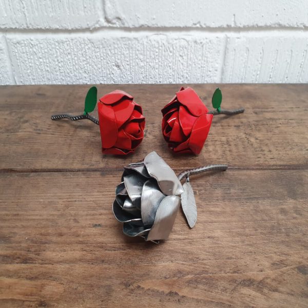 painted-unpainted roses
