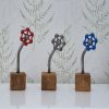 everlasting flower single